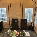 스테이 서하 이미지