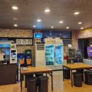 시집못간 돼지 이미지