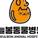 늘봄 동물병원 이미지