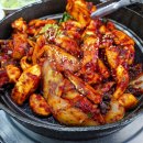 조가네갑오징어 이미지