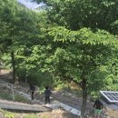 스테이 명암 이미지