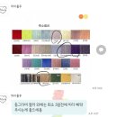 룰루 애견샵 | 노원붙임머리 하이룰루에서 포인트붙임머리 후기