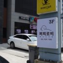 퍼피로비 이미지