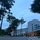 들꽃향기 | 인제여행