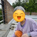 인지미술교실 이미지