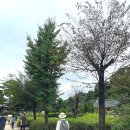 신륵사길 | 경기도 여주 가볼만한곳 절 신륵사 추천 후기