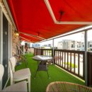 나드리 애견 이미지