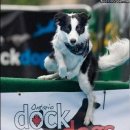 복슬 강아지 이미지