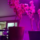 광선농장 이미지