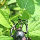 유년의 뜰(오정희) 줄거리 요약 문장들 이미지