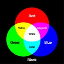 Green Colo | 환급 챌린지 8기 평일 미션 13회차,콜로소 Figma를 활용한 UX/UI 디자인: 기초부터 활용까지 강의 후기