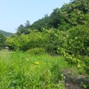 맑은조경공인중개사사무소 이미지