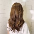 다인미용실 - 화성시 | 다인미용실