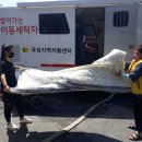 곡성빨래방 이미지