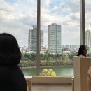 잠실/롯데월드/롯데월드몰/앤티크카페잠실/고도식/몽환/잠실술집/하늘닭발/노티드월드/롯데월드...