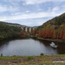 용소웰빙공원 이미지