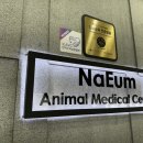 24시청주나음동물메디컬 이미지