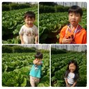 토란어린이집 이미지