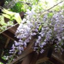 유원초등학교 이미지