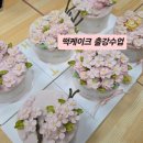 떡과앙금플라워 | 대전 출강수업 후기/앙금플라워 떡케이크/학부모체험/소규모 단체수업가능