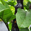 뮤즈 펜션 이미지