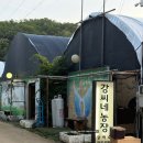 큰오리농장1 | 서울근교 오리맛집 반려견 동반 가능 광명 강씨네농장 후기