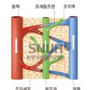 자인한약국