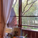 글로리야 이미지