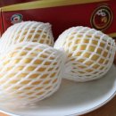 큰샘농원 이미지