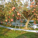 운천농장 이미지