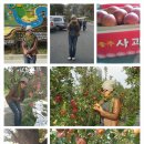 해유농산 이미지