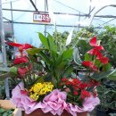 유현석치과의원 이미지