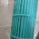 크린에코시스템