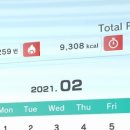 데일리 복싱 이미지