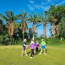 세븐스타 이미지