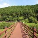 제원면오토캠핑장 이미지