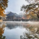 ㈜스카이투어 이미지