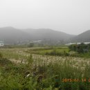 새터말 티스토리
