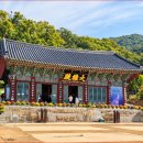 계룡산 갑사=단풍길이 교과서에도 나올까요?" 1.5km 천년고찰 단풍 명소 이미지