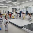 다온 용인대국가대표태권도 이미지