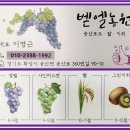 벧엘농원 이미지