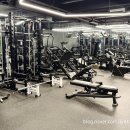 마이티핏 이미지