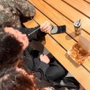 종합운동장본부석(1층) | 고양종합운동장 트래비스 스캇 내한 공연 콘서트 후기 지정석 P 1층 E3 구역 시야 좌석 추천