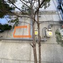 베이글연구소 이미지