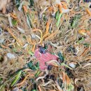 와야1리 경로당 이미지