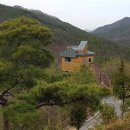 무주자연휴양림 이미지