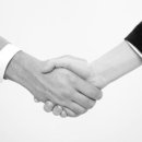 새빛 행정사사무소 이미지