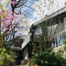 수 게스트하우스 이미지