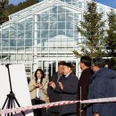 자생식물원 이미지