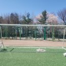 금광중학교 네이버블로그